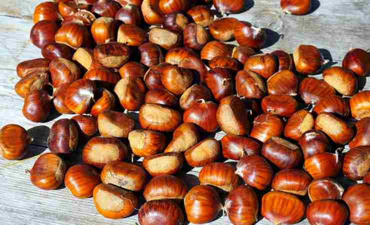 castagne