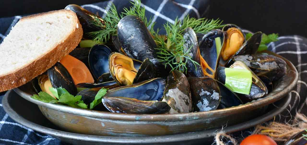 cozze