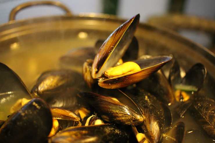 cozze cotte