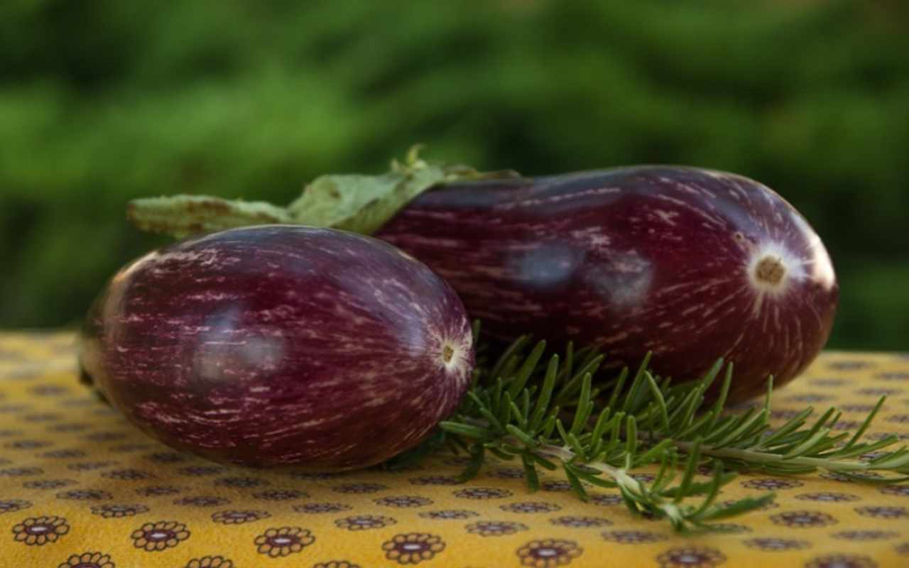 ricette melanzane