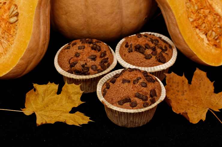 muffins zucca