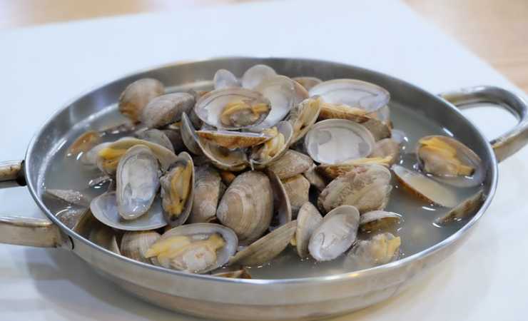 spurgare vongole