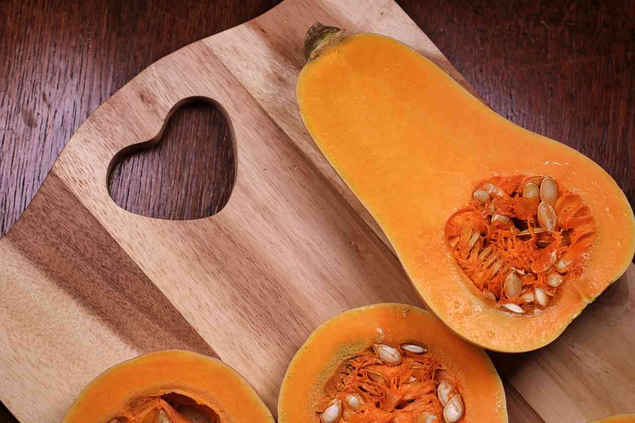 zucca