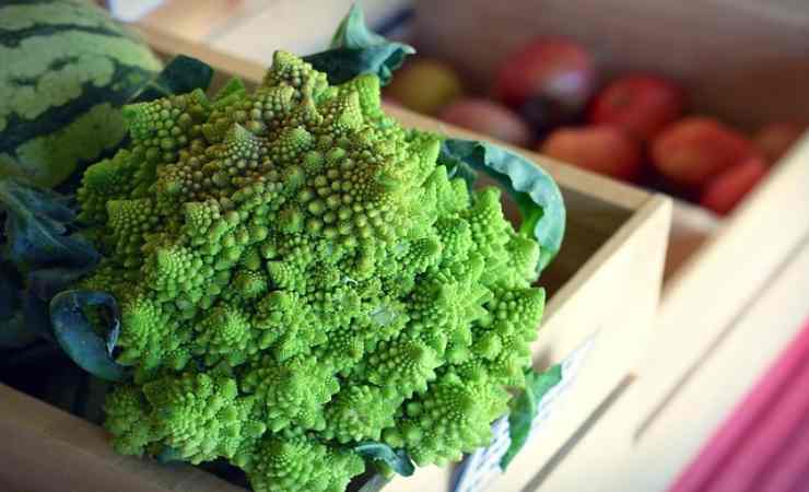broccoli romaneschi