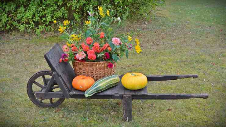 giardino autunno