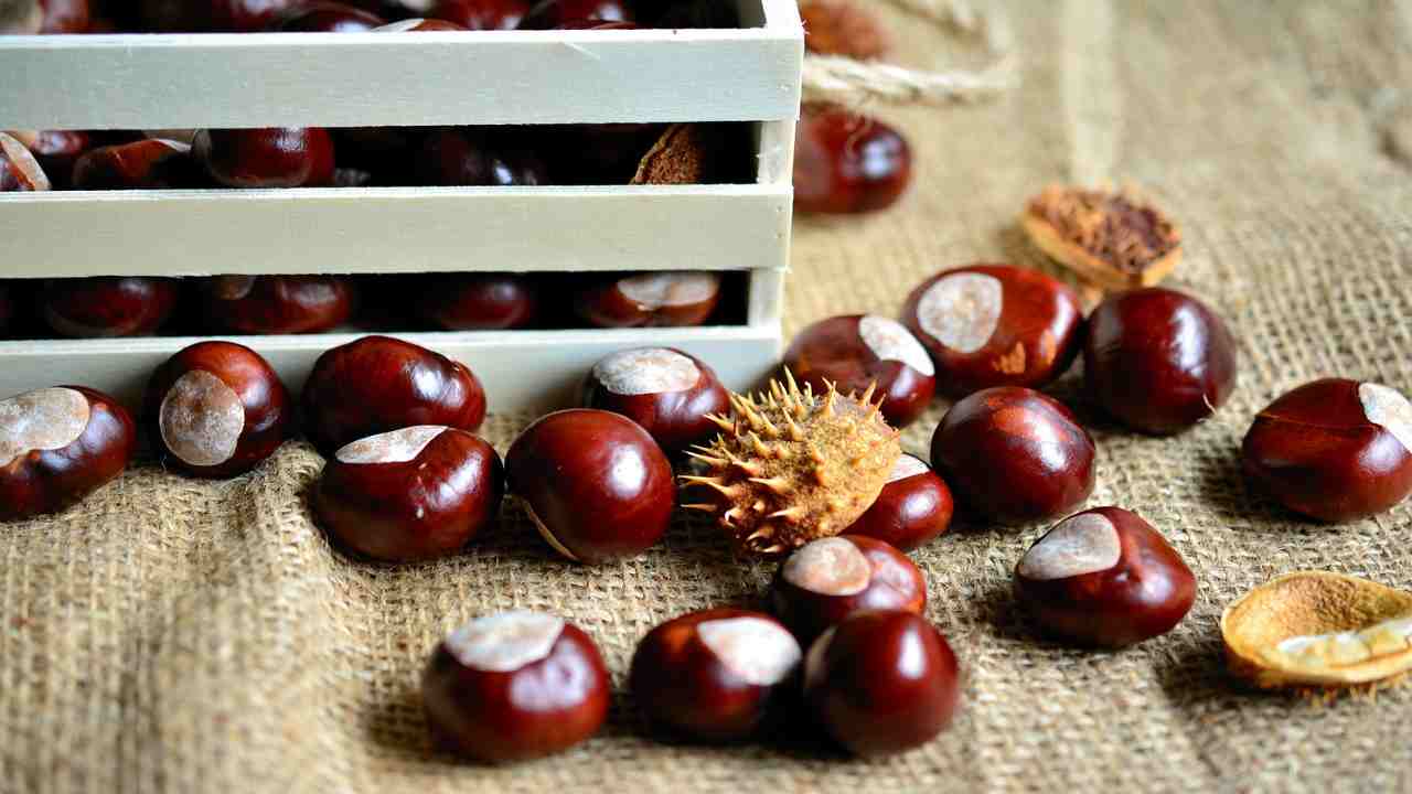 castagne