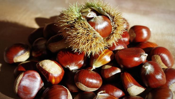 castagne buone