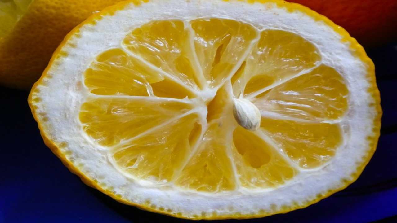 limoni spremuti