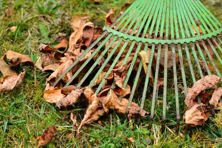 giardino autunno