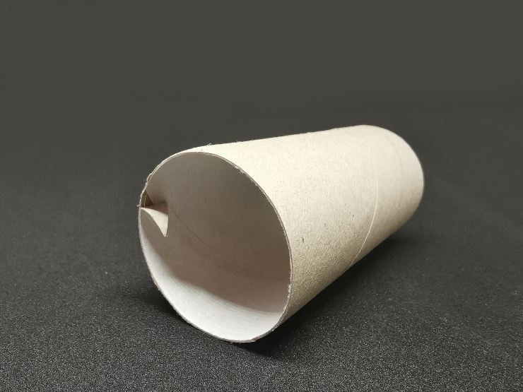 rotolo della carta igienica contro la polvere