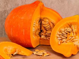 seme zucca