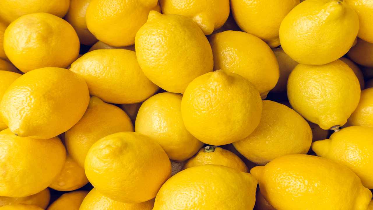 limoni