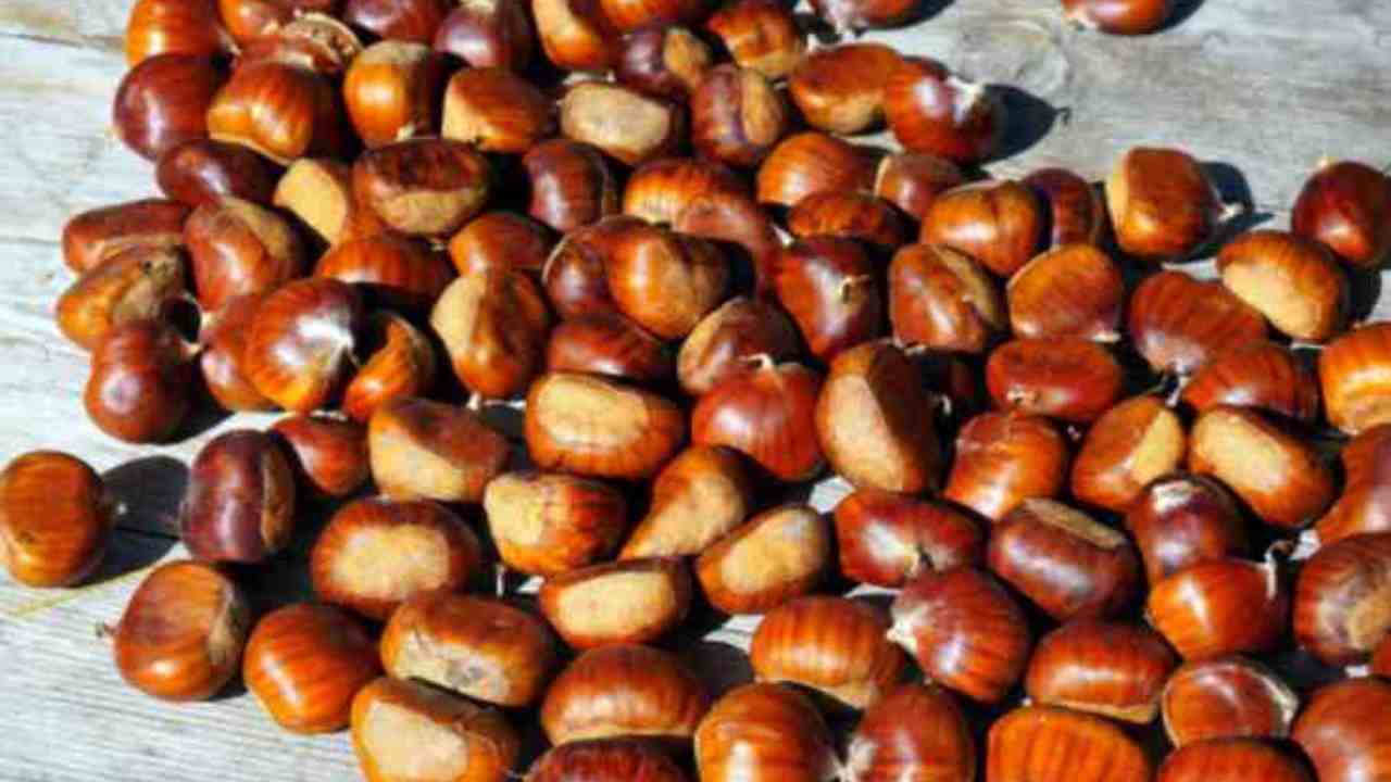 bucce castagne