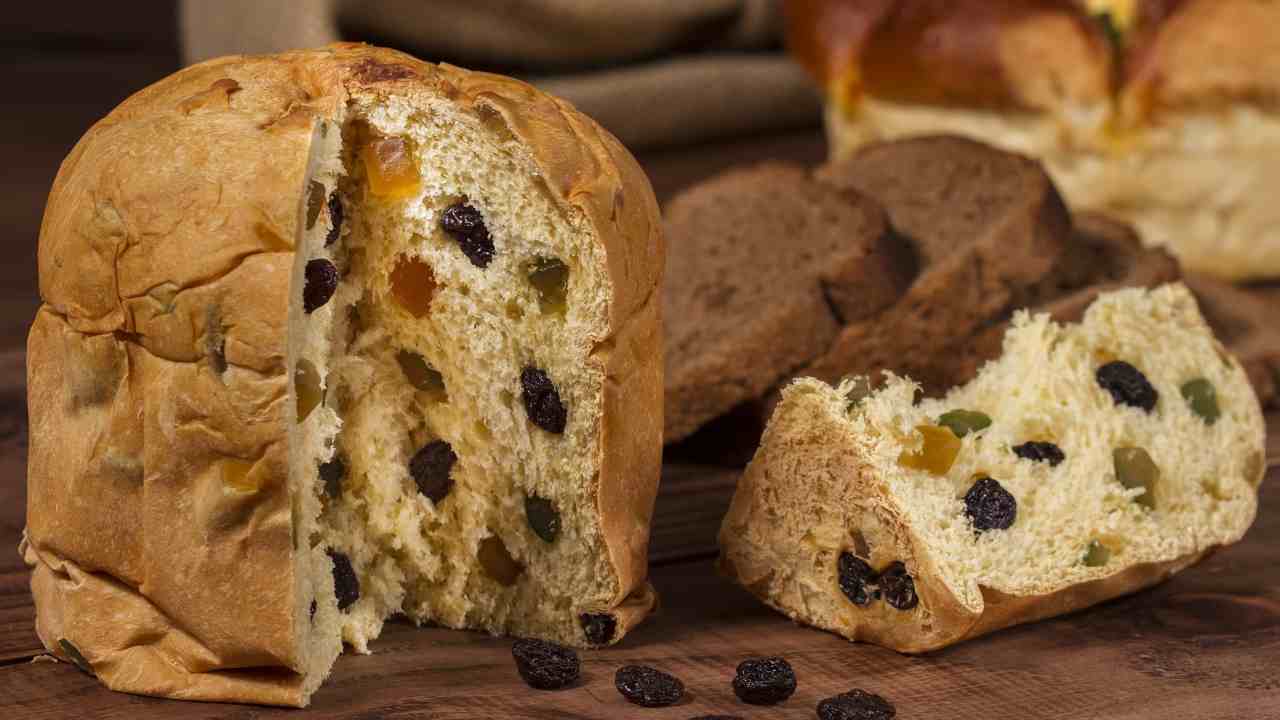 preparare panettone