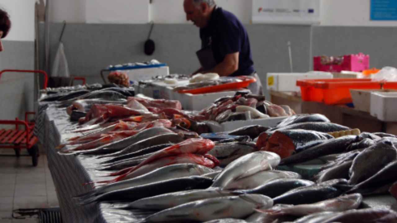 risparmia spesa pesce natale