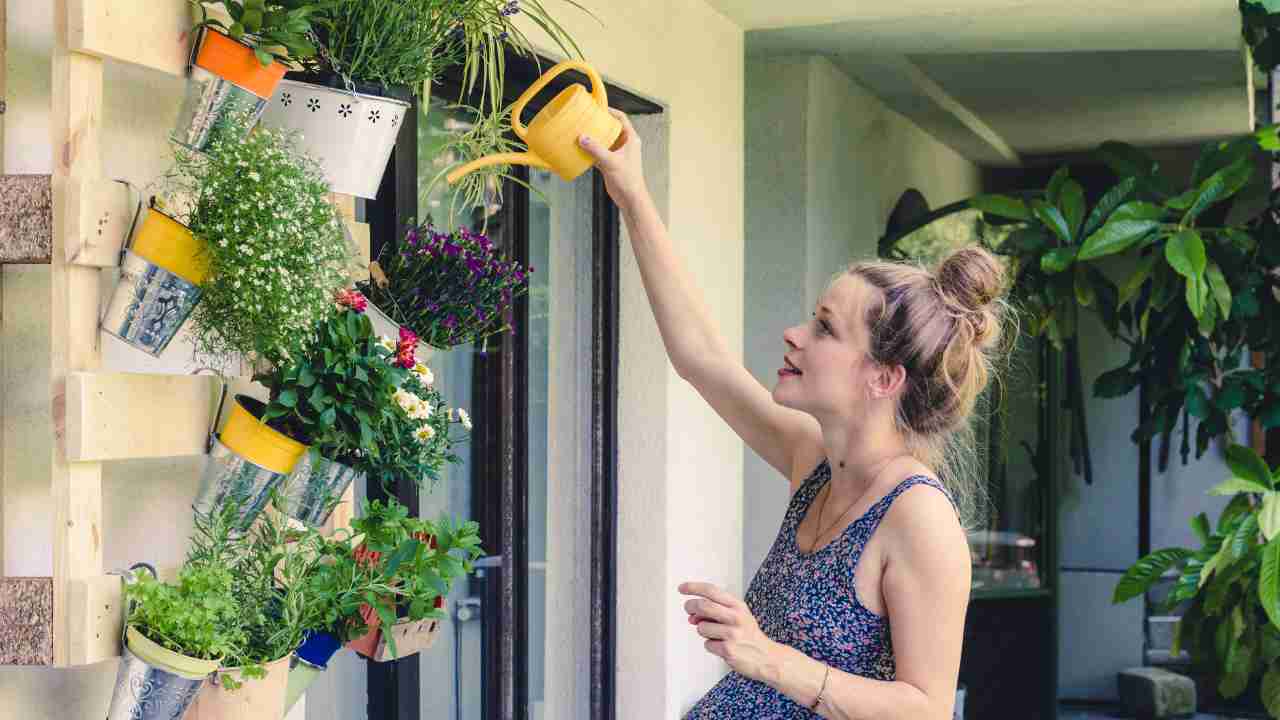 piantine balcone