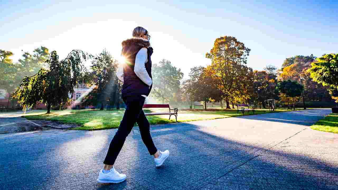 passeggiare d'inverno