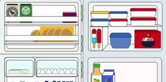 cattivo odore frigo