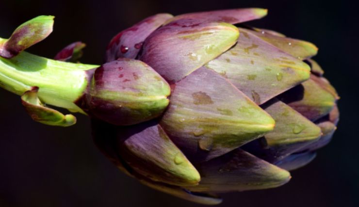 non buttare gambi carciofi