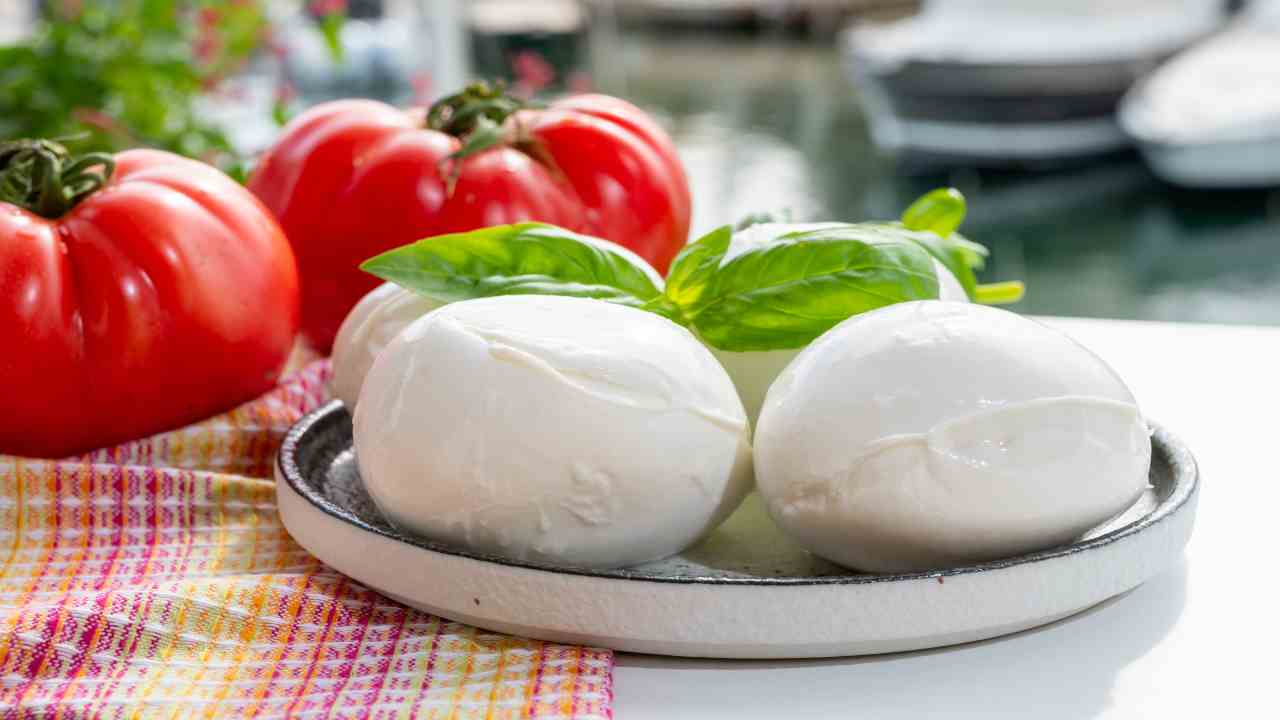 mozzarella secca