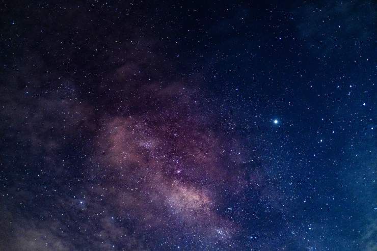 zodiaco stelle previsioni