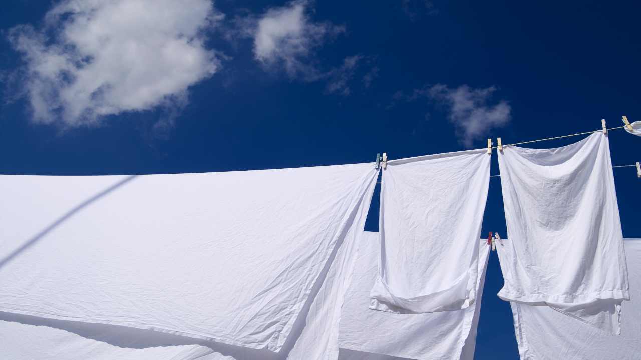 asciugamani bianchissimi