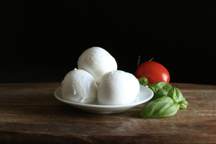 errore conservazione mozzarella