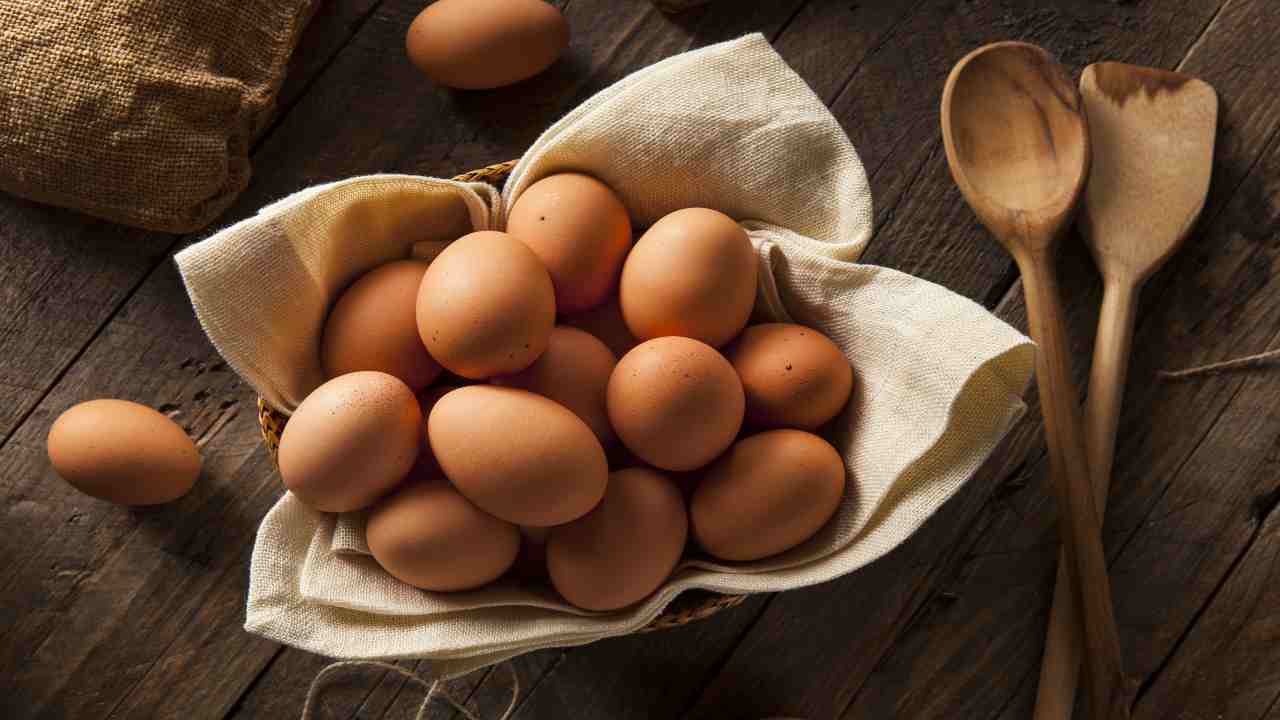informazioni uova