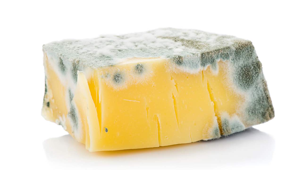 mantenere formaggio fresco