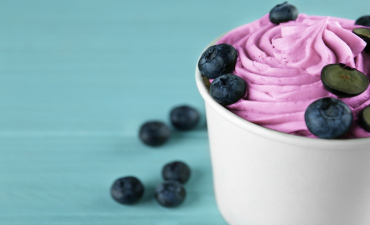 barrette di frozen yogurt