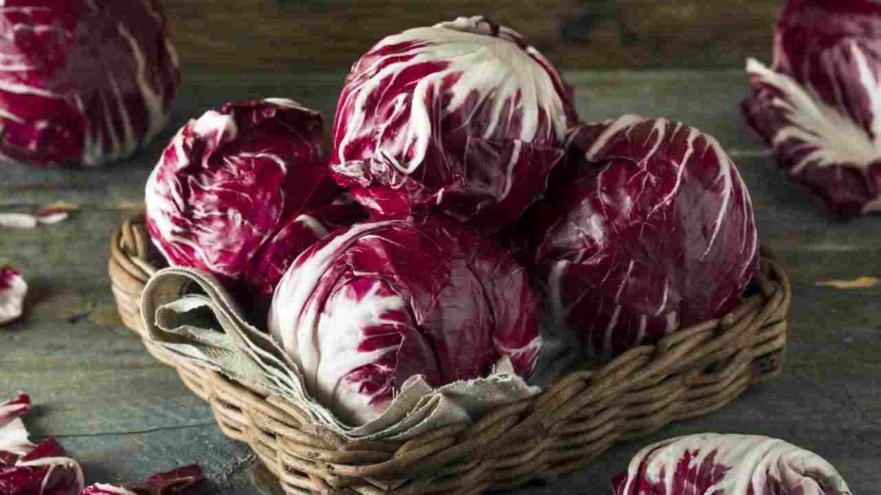 radicchio