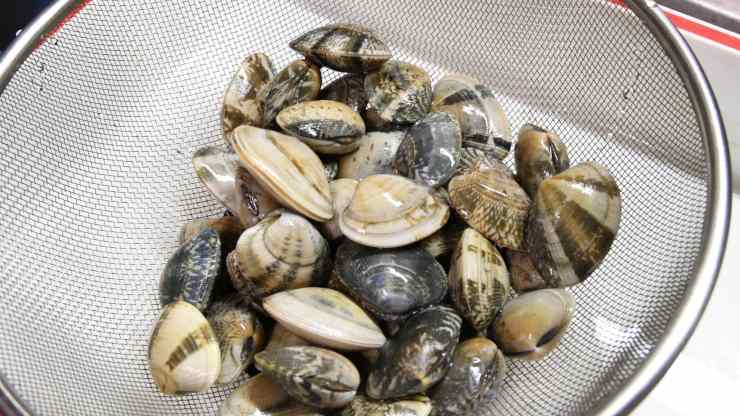 vongole