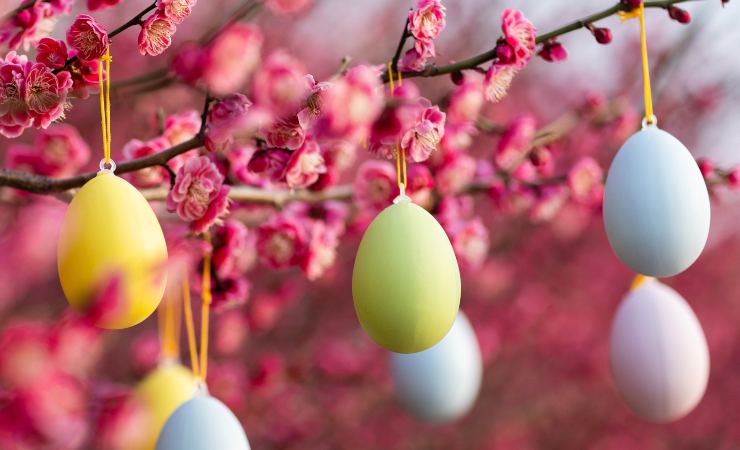 giardino Pasqua