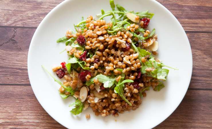 insalata di grano