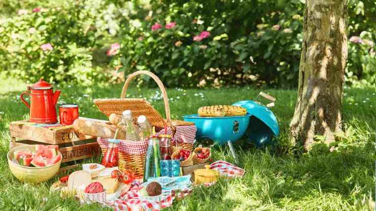 pic-nic all'aperto