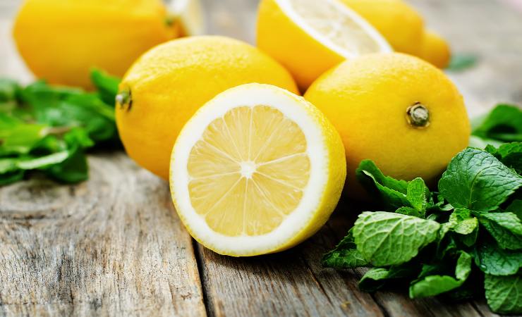 foglie limoni