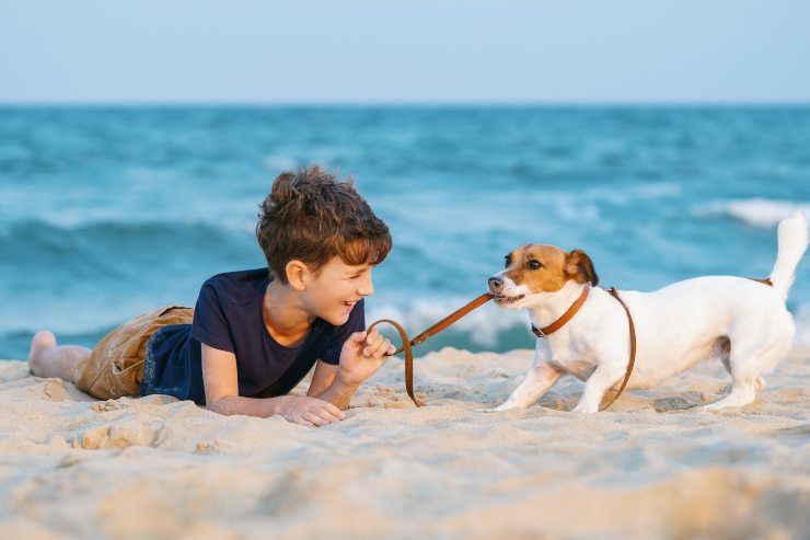 cane al mare