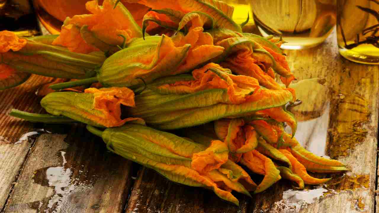 fiori di zucca