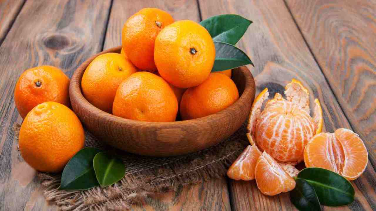 pianta mandarini