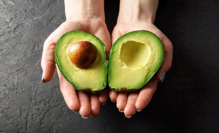 avocado maturo