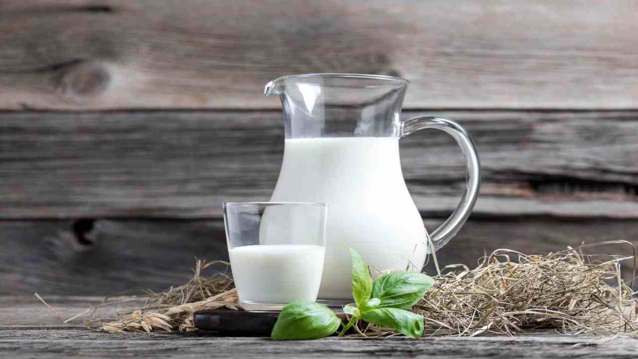 latte piante