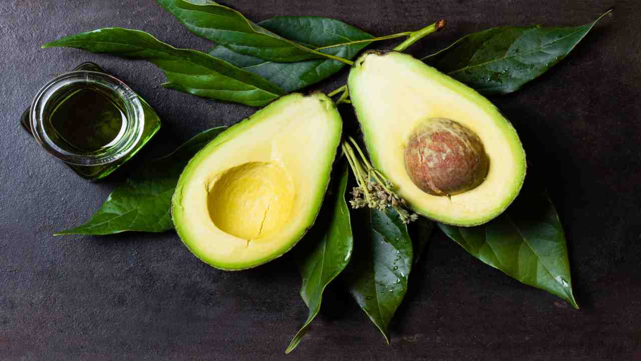 avocado maturo