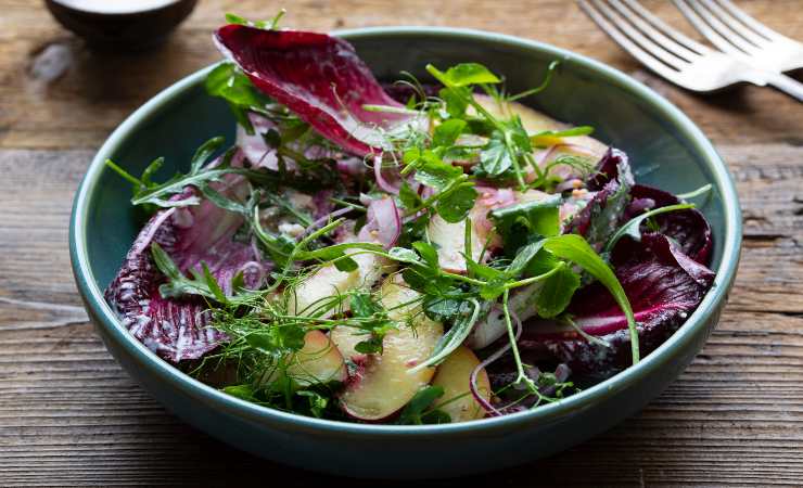 ingrediente insalata