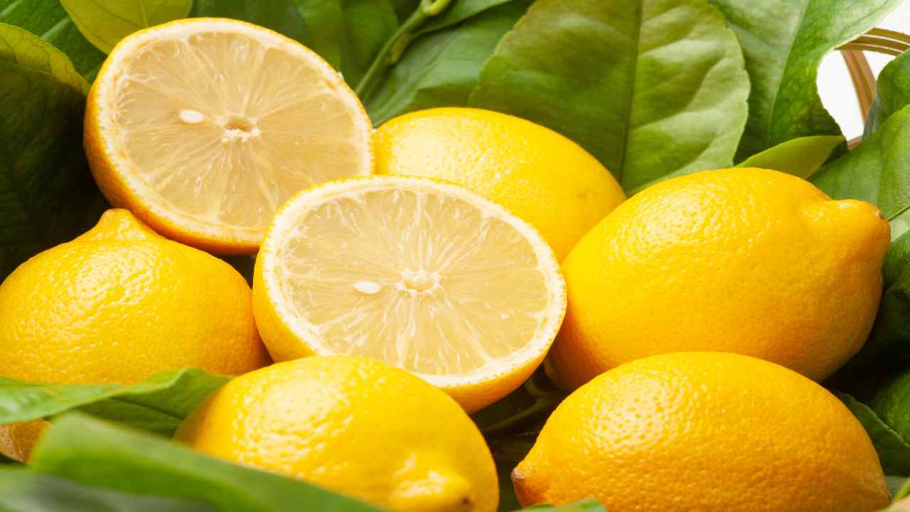 limone sale