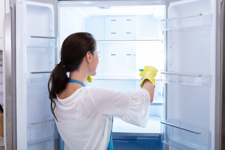 pulire sgrassare frigorifero
