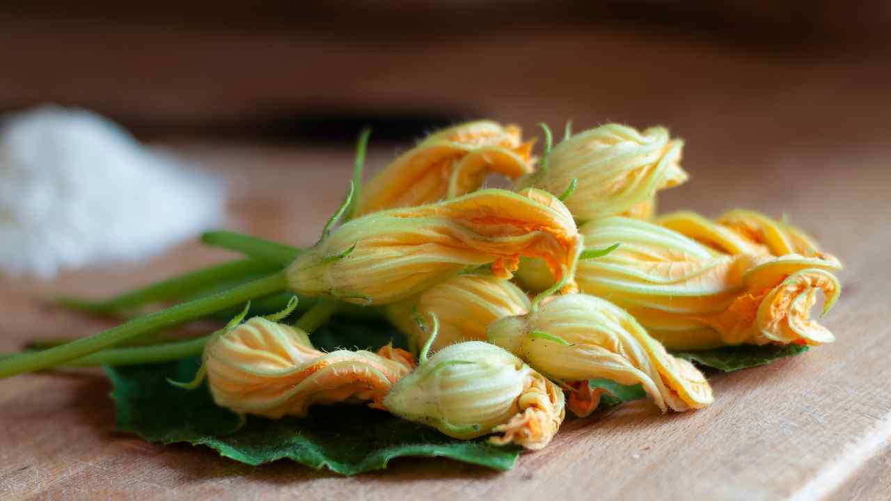 fiori di zucca primo piatto