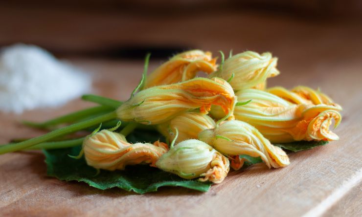 fiori zucca ripieni