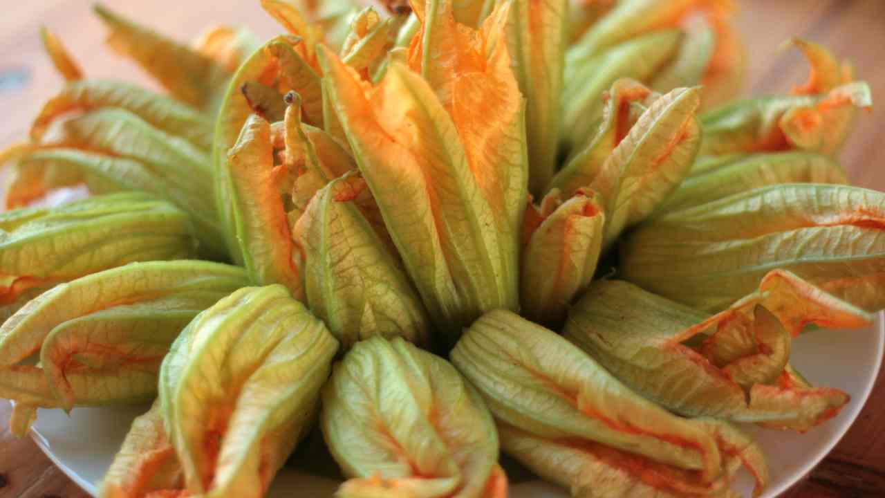 fiori zucca ripieni