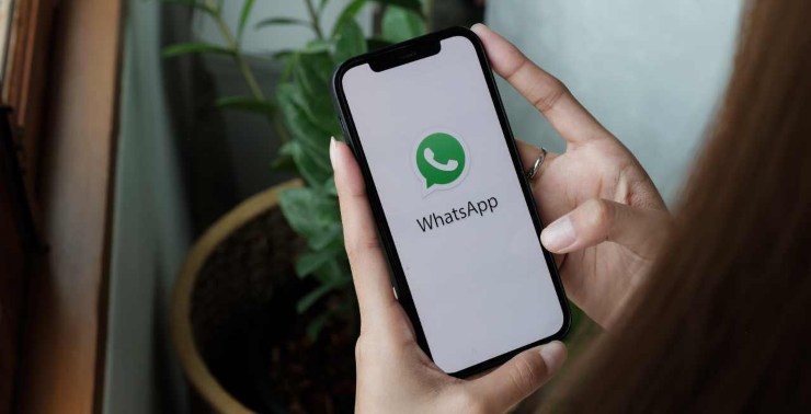 privacy whatsapp