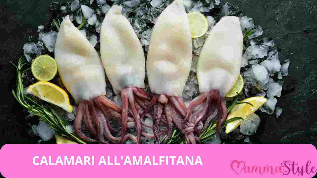 calamari amalfitana